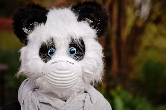 Casino Hot Line Support